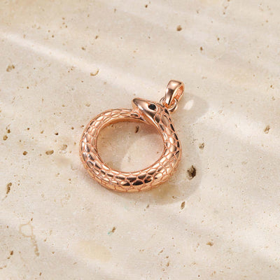 Snake Ouroboros Pendant Necklace for Renewal Sterling Silver