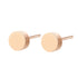 Circle Earrings in Rose Gold