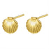 Scallop Shell Stud Earring Sterling Silver