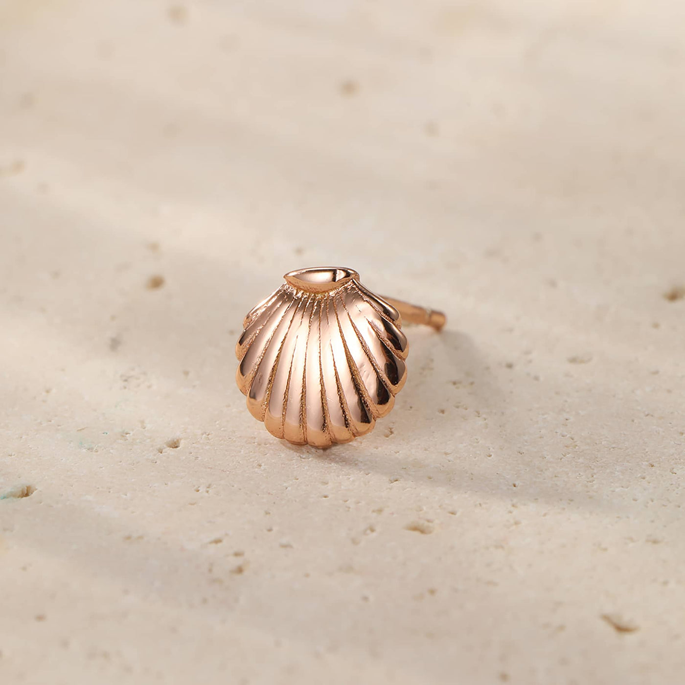 Scallop Shell Stud Earring Sterling Silver