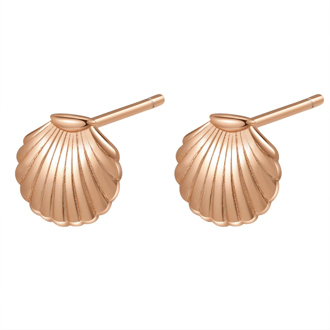 Scallop Shell Stud Earring Sterling Silver