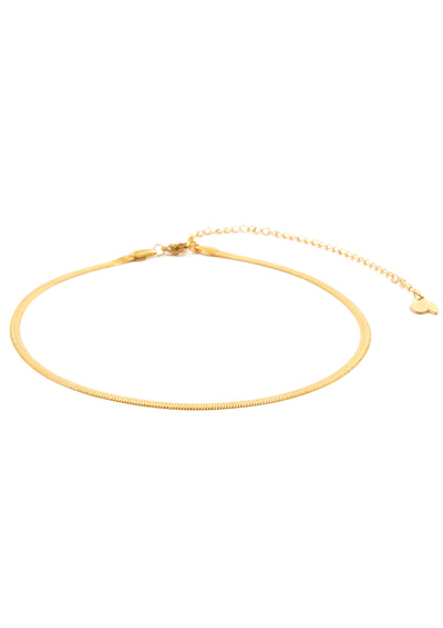 Choker Simple en Oro