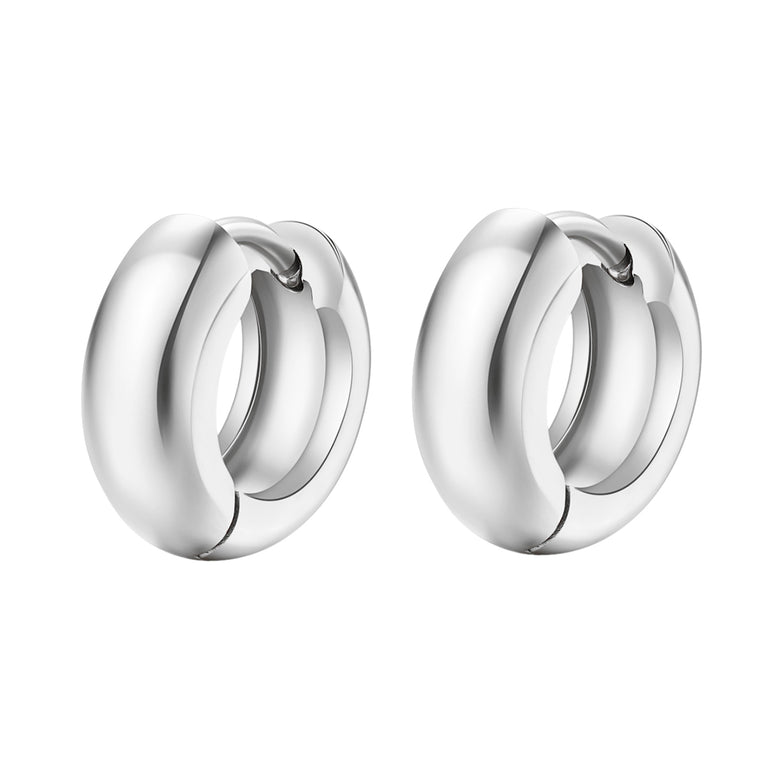 Stainless Steel Hoop Earrings